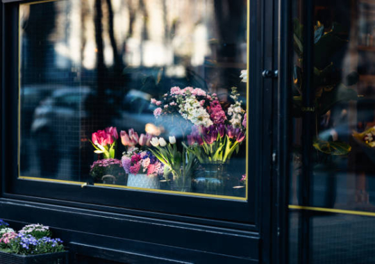 Shop Windows: When Nature Becomes a Marketing Tool